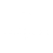 Get Fintech